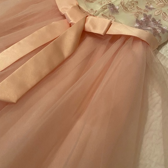 Rare Editions Blush Formal Dress- Beaded Cream Light Pink 5T - Picture 5 of 5